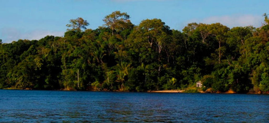 Instituições cobram política estadual para o manejo sustentável das florestas comunitárias no Pará