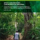 Apoio a organizações comunitárias na Amazônia: a experiência do Programa de Pequenos Apoios na região de influência da BR-319 (Amazonas-Rondônia)
