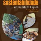 Processo de construção da sustentabilidade em São Félix do Xingu-PA
