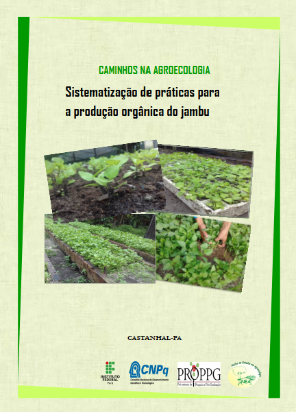 Sistematização de práticas para a produção orgânica do Jambu