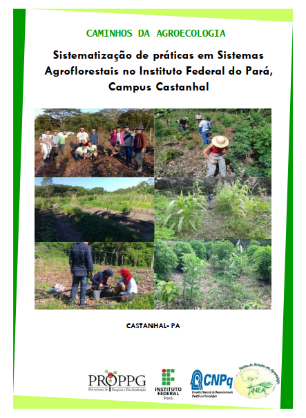 Sistematização de práticas em Sistemas Agroflorestais no Instituto Federal do Pará, Campus Castanhal