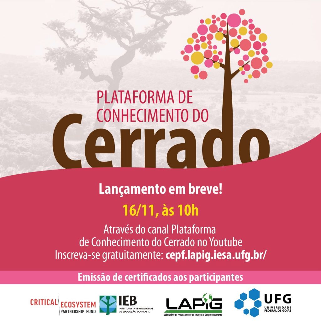 Lapig/UFG lança ferramenta em prol da preservação do Cerrado