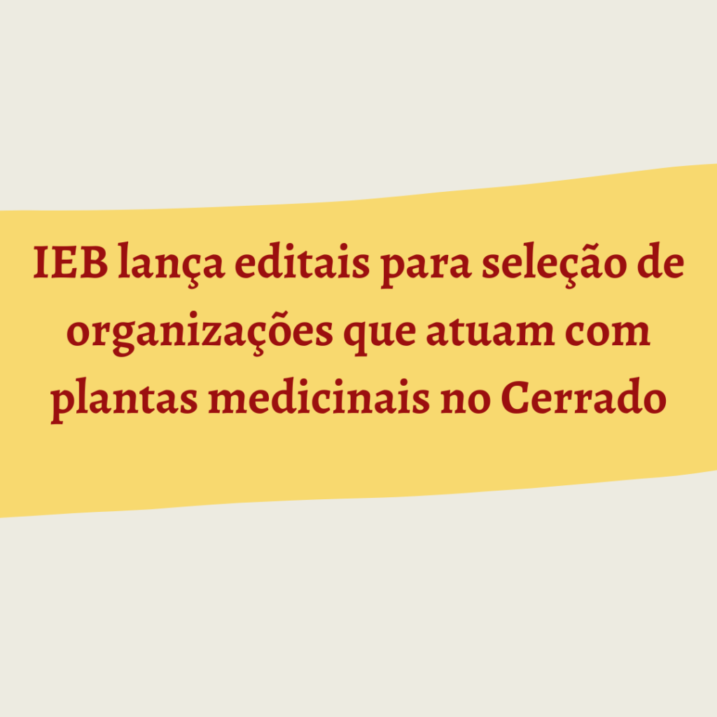 IEB lança editais para seleção de organizações que atuam com plantas medicinais no Cerrado