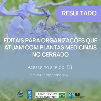 Confira o resultado dos editais para seleção de organizações que atuam com plantas medicinais no Cerrado