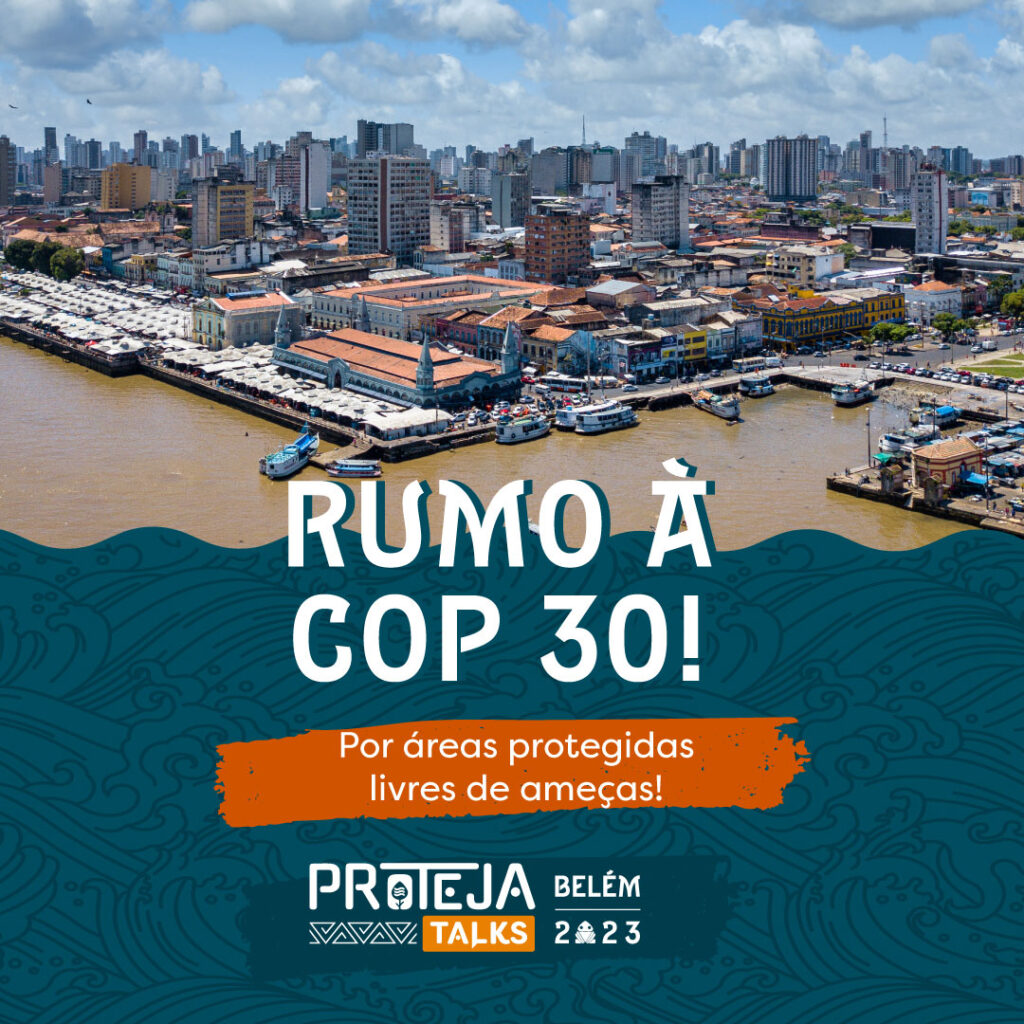 5ª edição do PROTEJA TALKs dialoga sobre a COP 30 e o combate a ameaças ambientais