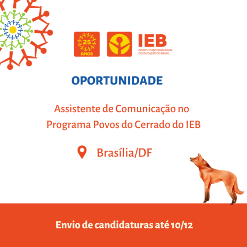 Oportunidade: IEB contrata assistente de comunicação no Programa Povos do Cerrado