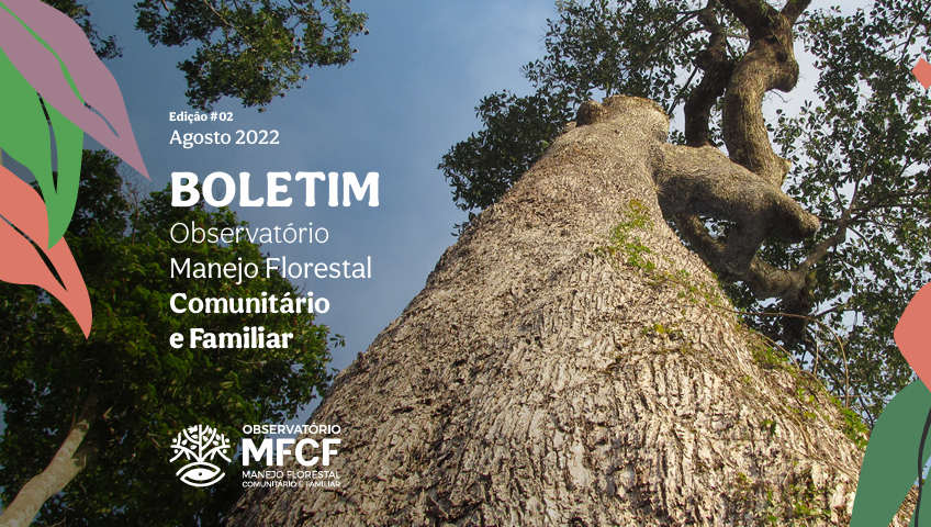 Boletim do Observatório Manejo Florestal Comunitário e Familiar (OMFCF) – Agosto 2022