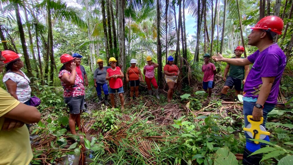Curso de manejo de açaí fortalece práticas sustentáveis no assentamento Pancada do Camaipi (AP)