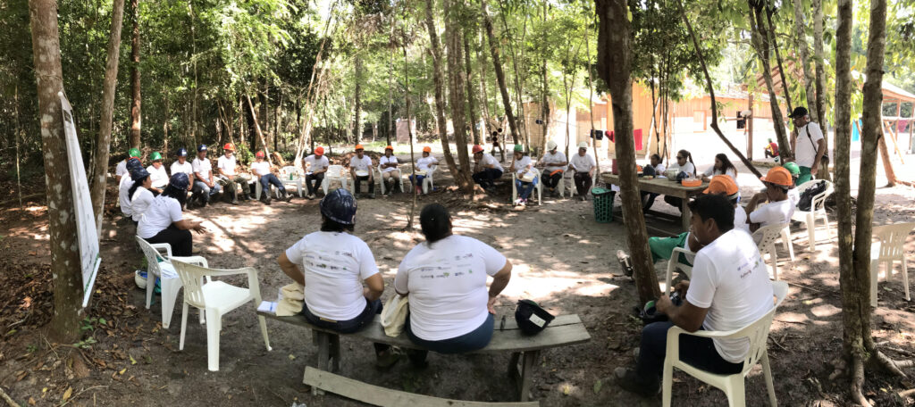 Artigo científico destaca caminhos da gestão colaborativa para o manejo florestal comunitário na Amazônia