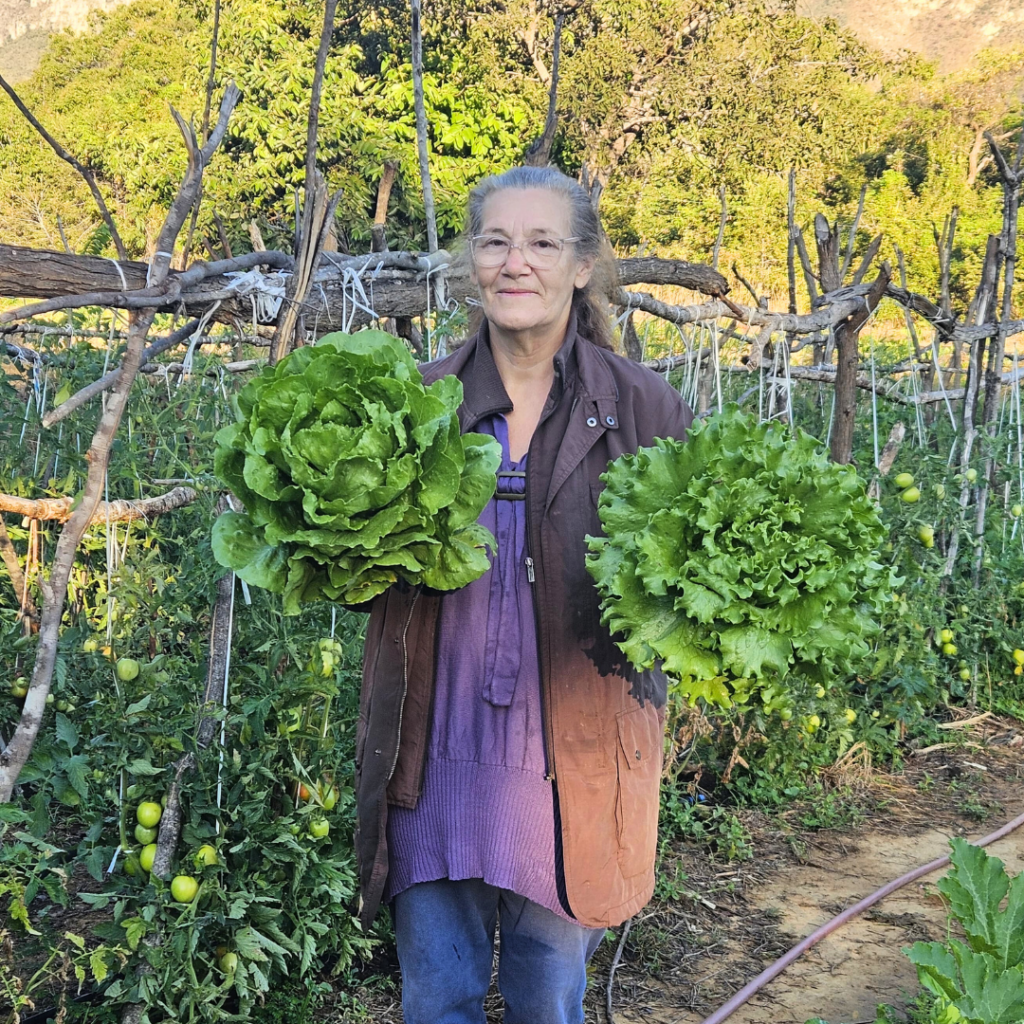 Agricultores familiares e quilombolas constroem estratégias de comercialização justa na Chapada dos Veadeiros