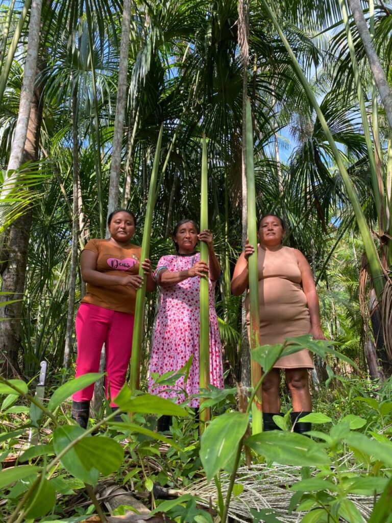 Abril Indígena: mulheres Warao fortalecem rede de artesanato em Belém 