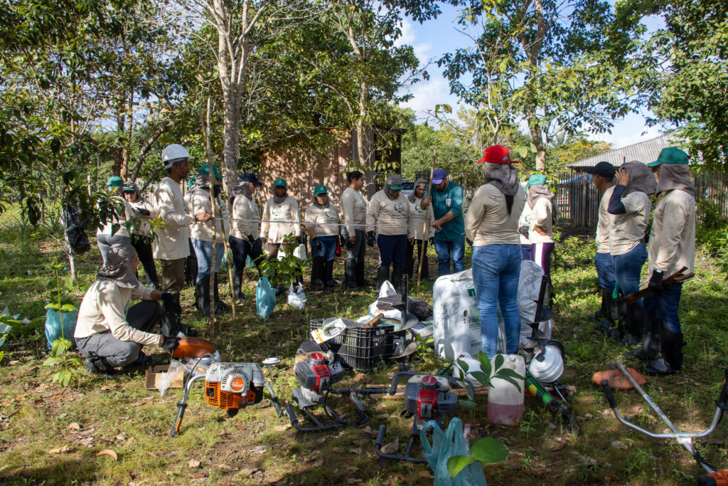Da semente ao plantio: formação avança para agrofloresta em reserva sob pressão no Pará